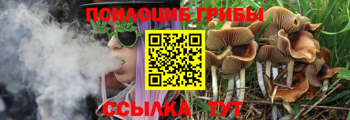 Псилоцибиновые грибы GOLDEN TEACHER Псков